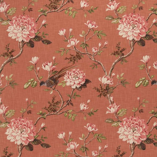 Charlotte - CB700-462 - Fabric by the Yard CB700-462