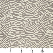 Charlotte - CB700-46 - Fabric by the Yard - CB700-46 - CB700-46_Ruler
