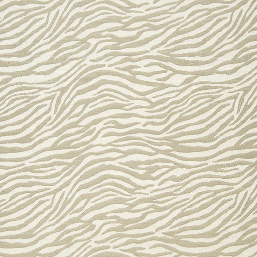 Charlotte - CB700-47 - Fabric by the Yard CB700-47