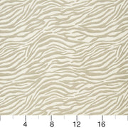 Charlotte - CB700-47 - Fabric by the Yard - CB700-47 - CB700-47_Ruler
