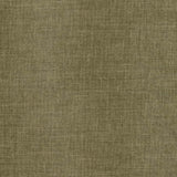 Charlotte - CB700-496 - Fabric by the Yard