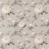 Charlotte - CB700-501 - Fabric by the Yard