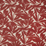 Charlotte - CB700-528 - Fabric by the Yard