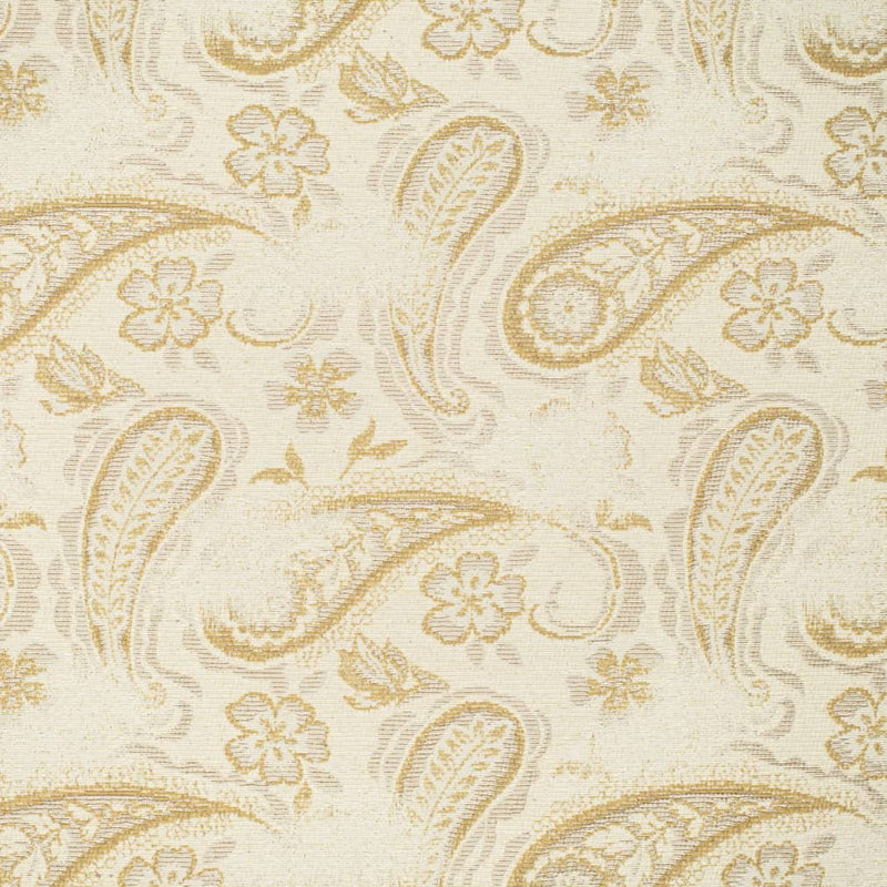 Charlotte - CB700-572 - Fabric by the Yard CB700-572