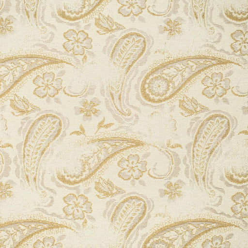 Charlotte - CB700-572 - Fabric by the Yard CB700-572