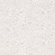 Charlotte - CB700-586 - Fabric by the Yard CB700-586