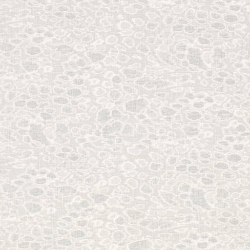 Charlotte - CB700-586 - Fabric by the Yard CB700-586