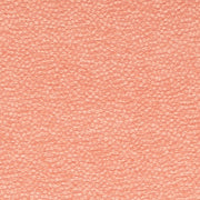 Charlotte - CB700-611 - Fabric by the Yard CB700-611