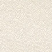 Charlotte - CB700-612 - Fabric by the Yard CB700-612