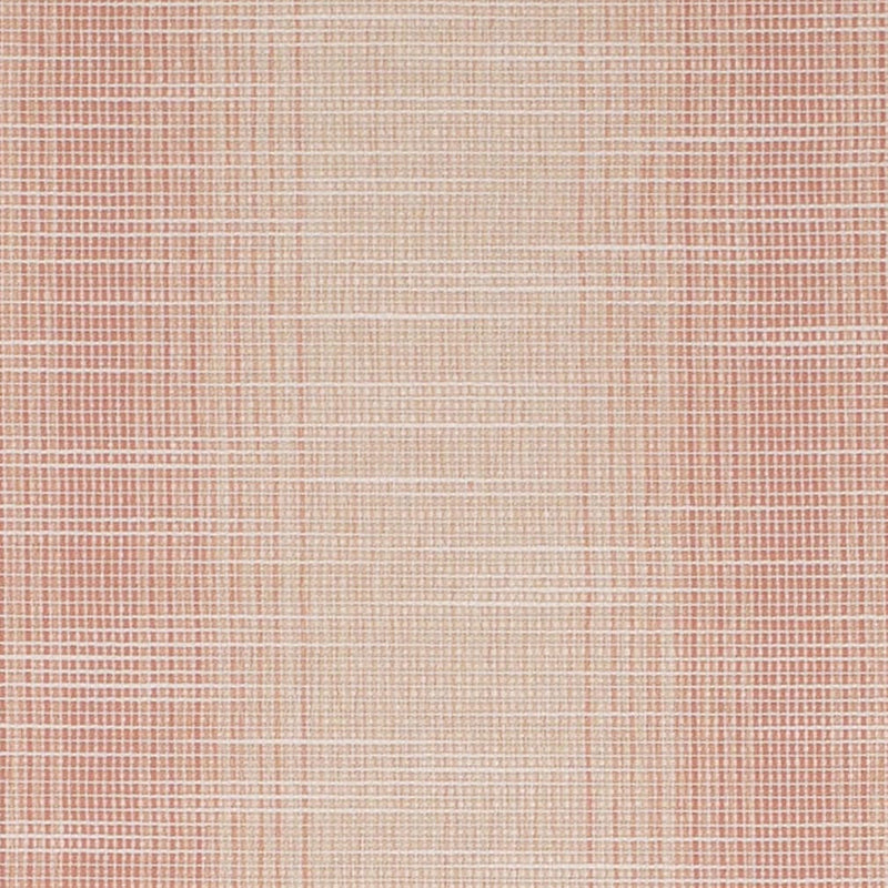 Charlotte - CB700-619 - Fabric by the Yard CB700-619