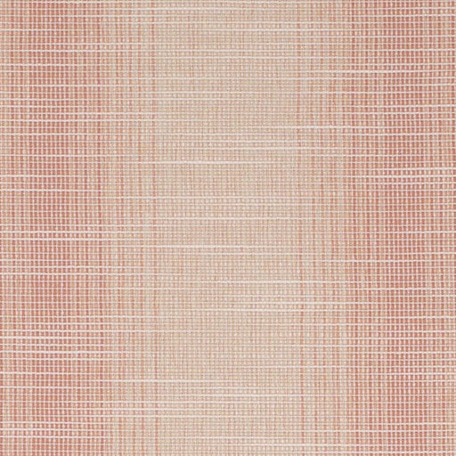 Charlotte - CB700-619 - Fabric by the Yard CB700-619