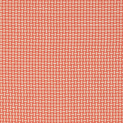 Charlotte - CB700-623 - Fabric by the Yard CB700-623