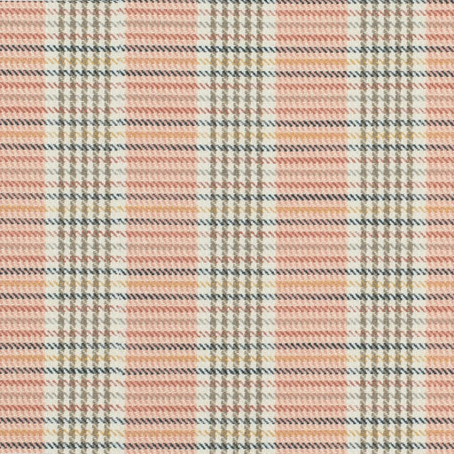 Charlotte - CB700-625 - Fabric by the Yard CB700-625