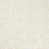 Charlotte - CB700-636 - Fabric by the Yard