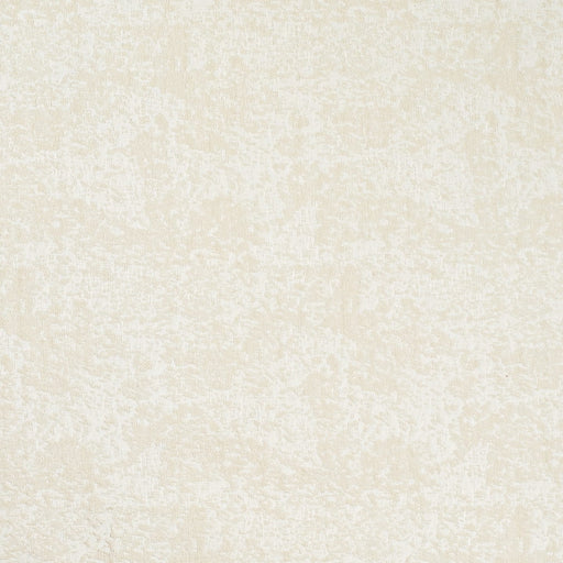 Charlotte - CB700-636 - Fabric by the Yard CB700-636