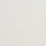 Charlotte - CB800-01 - Fabric by the Yard