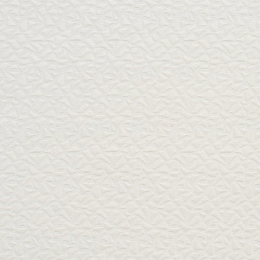 Charlotte - CB800-01 - Fabric by the Yard CB800-01