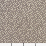 Charlotte - CB800-02 - Fabric by the Yard - CB800-02 - CB800-02_Ruler