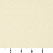 Charlotte - CB800-03 - Fabric by the Yard - CB800-03 - CB800-03_Ruler