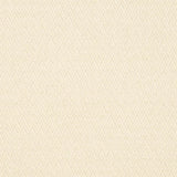Charlotte - CB800-05 - Fabric by the Yard