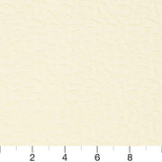 Charlotte - CB800-06 - Fabric by the Yard - CB800-06 - CB800-06_Ruler
