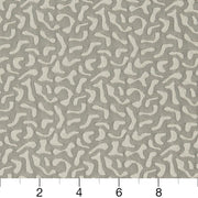 Charlotte - CB800-07 - Fabric by the Yard - CB800-07 - CB800-07_Ruler