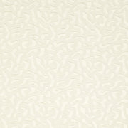 Charlotte - CB800-08 - Fabric by the Yard CB800-08