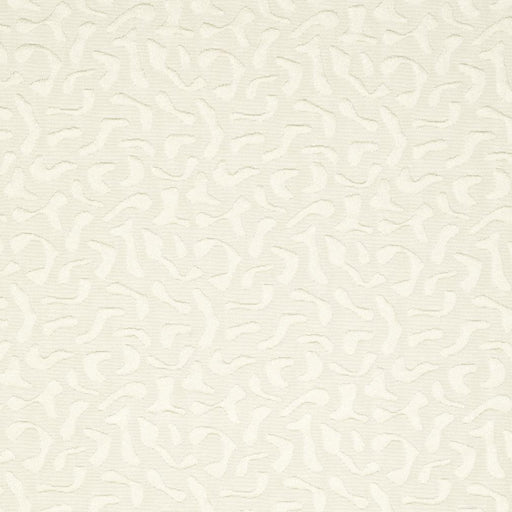 Charlotte - CB800-08 - Fabric by the Yard CB800-08