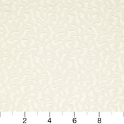 Charlotte - CB800-08 - Fabric by the Yard - CB800-08 - CB800-08_Ruler