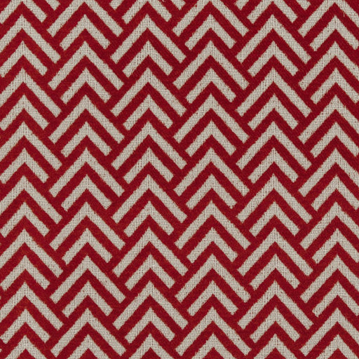Charlotte - CB800-105 - Fabric by the Yard CB800-105