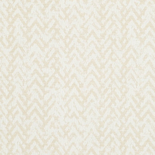 Charlotte - CB800-117 - Fabric by the Yard CB800-117