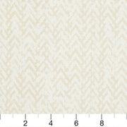 Charlotte - CB800-117 - Fabric by the Yard - CB800-117 - CB800-117_Ruler