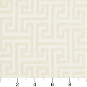 Charlotte - CB800-118 - Fabric by the Yard - CB800-118 - CB800-118_Ruler
