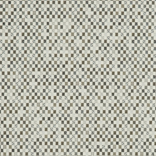 Charlotte - CB800-119 - Fabric by the Yard CB800-119