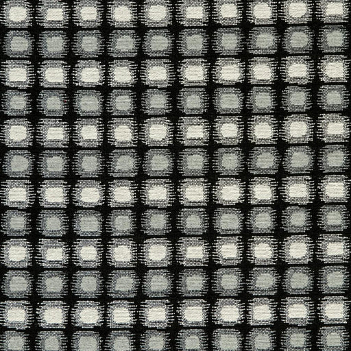 Charlotte - CB800-123 - Fabric by the Yard CB800-123