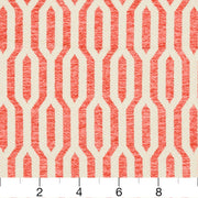 Charlotte - CB800-126 - Fabric by the Yard - CB800-126 - CB800-126_Ruler