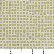 Charlotte - CB800-138 - Fabric by the Yard - CB800-138 - CB800-138_Ruler