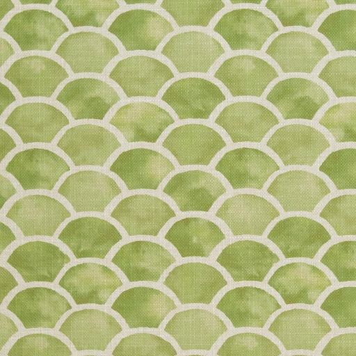 Charlotte - CB800-139 - Fabric by the Yard CB800-139