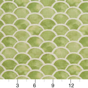 Charlotte - CB800-139 - Fabric by the Yard - CB800-139 - CB800-139_Ruler