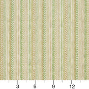 Charlotte - CB800-173 - Fabric by the Yard - CB800-173 - CB800-173_Ruler