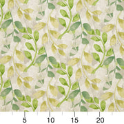 Charlotte - CB800-174 - Fabric by the Yard - CB800-174 - CB800-174_Ruler