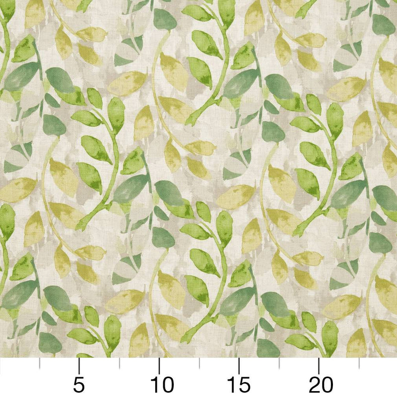 Charlotte - CB800-174 - Fabric by the Yard - CB800-174 - CB800-174_Ruler