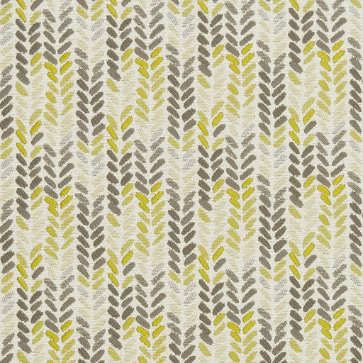 Charlotte - CB800-178 - Fabric by the Yard CB800-178