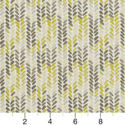 Charlotte - CB800-178 - Fabric by the Yard - CB800-178 - CB800-178_Ruler
