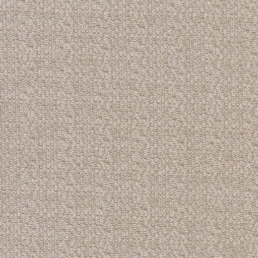 Charlotte - CB800-208 - Fabric by the Yard CB800-208