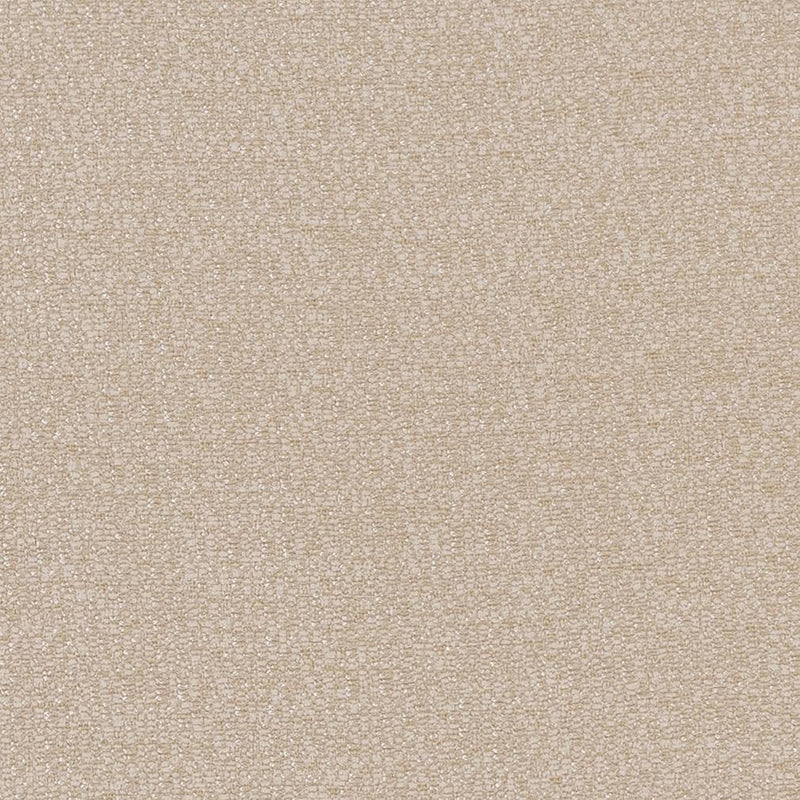 Charlotte - CB800-209 - Fabric by the Yard CB800-209