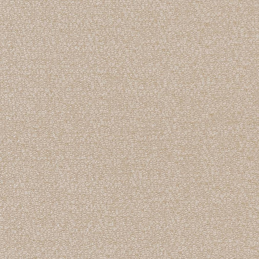 Charlotte - CB800-209 - Fabric by the Yard CB800-209