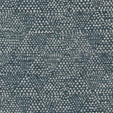 Charlotte - CB800-212 - Fabric by the Yard