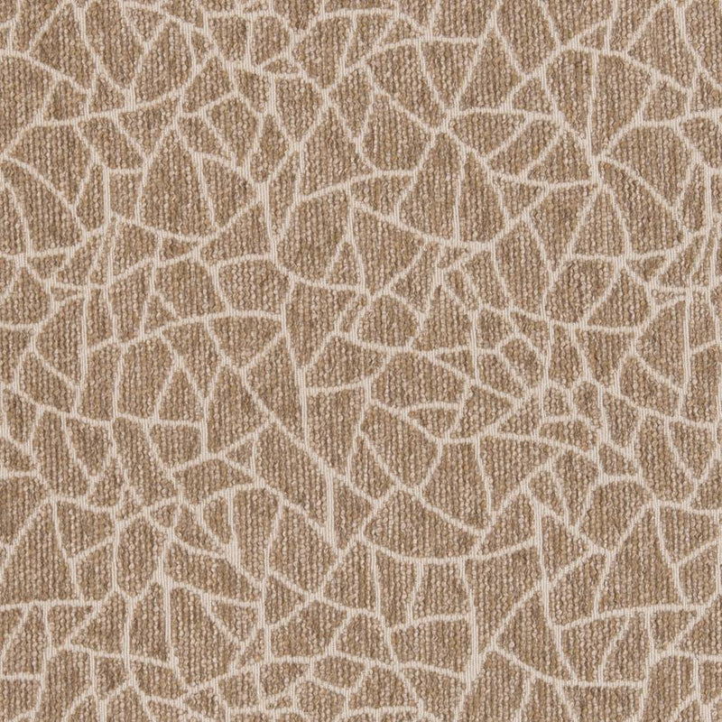 Charlotte - CB800-218 - Fabric by the Yard CB800-218