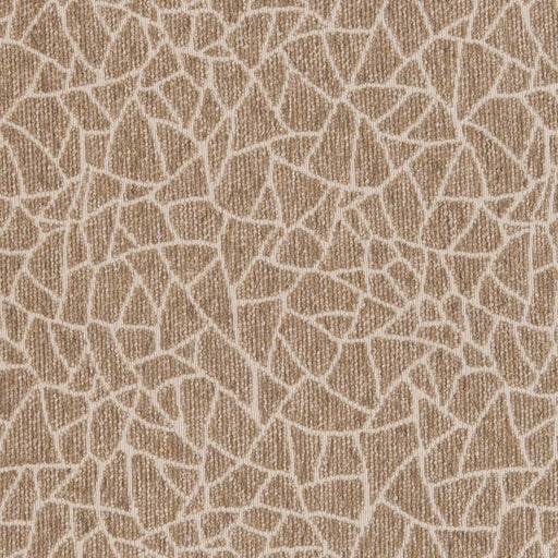 Charlotte - CB800-218 - Fabric by the Yard CB800-218